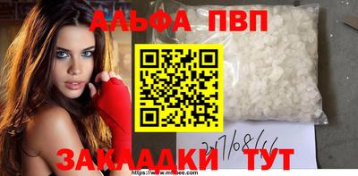 шишки Заволжье