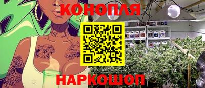 шишки Заволжье