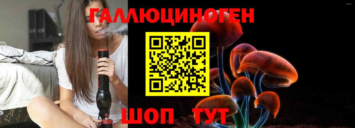 Псилоцибиновые грибы прущие грибы  Галлюциногенные грибы GOLDEN TEACHER  Вход с VPN  Балтийск 