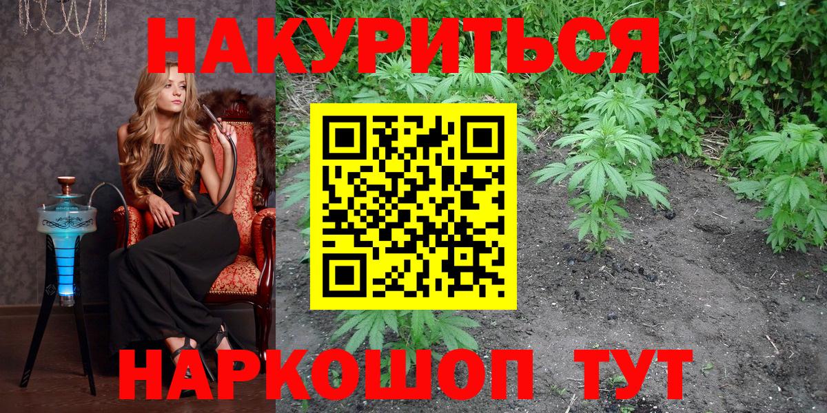 Конопля MAZAR Балтийск